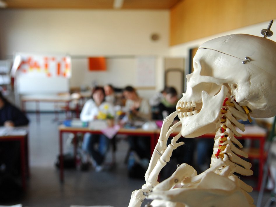 Ausbildung Knochenkarle
